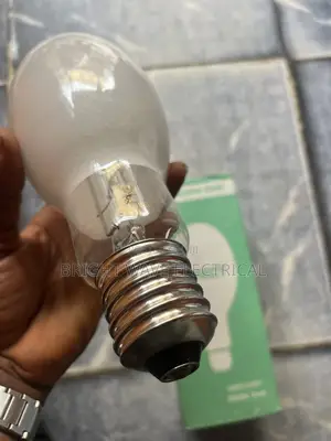 250wt Mecury Bulb Original