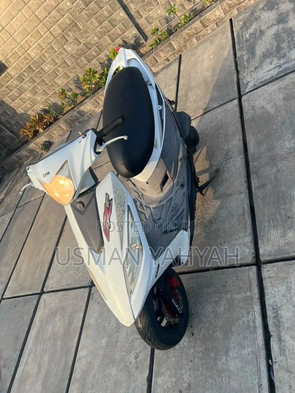 SYM Fnx 125 2024 White