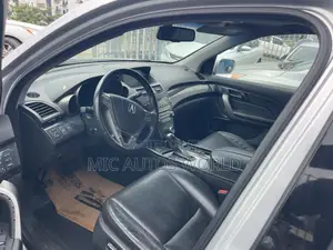 Acura MDX 2010 Silver