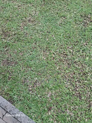 1800 SQM Land