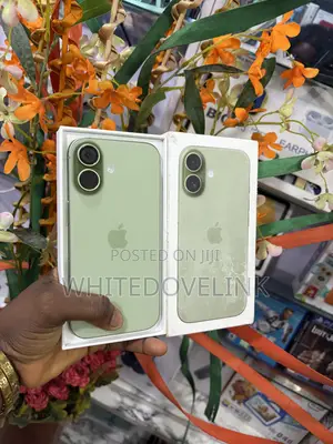 Apple iPhone 17 256 GB Green