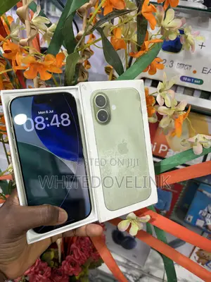 Apple iPhone 17 256 GB Green