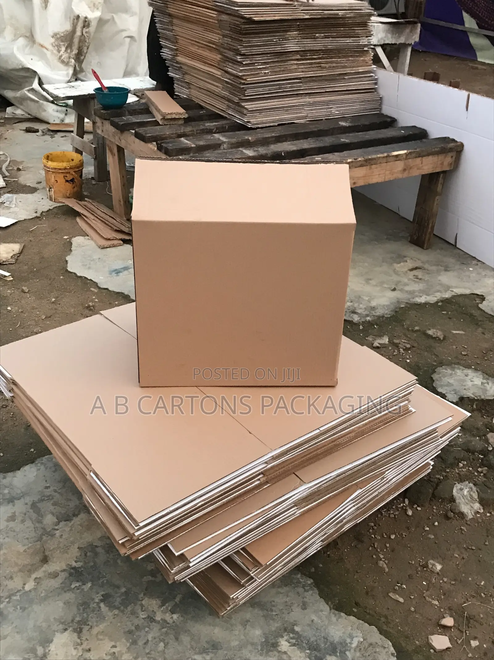 Carton Packaging