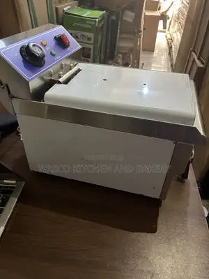 Electric Deep Fryer
