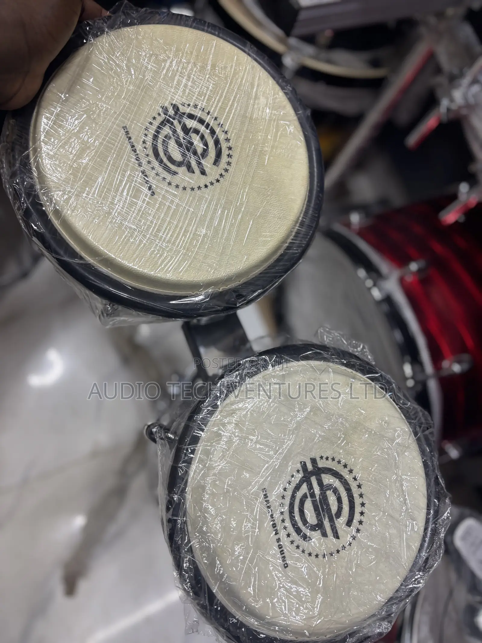 Champion Sound Conga