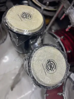 Champion Sound Conga