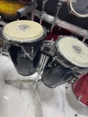 Champion Sound Conga
