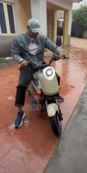New Yamaha 2025 Brown