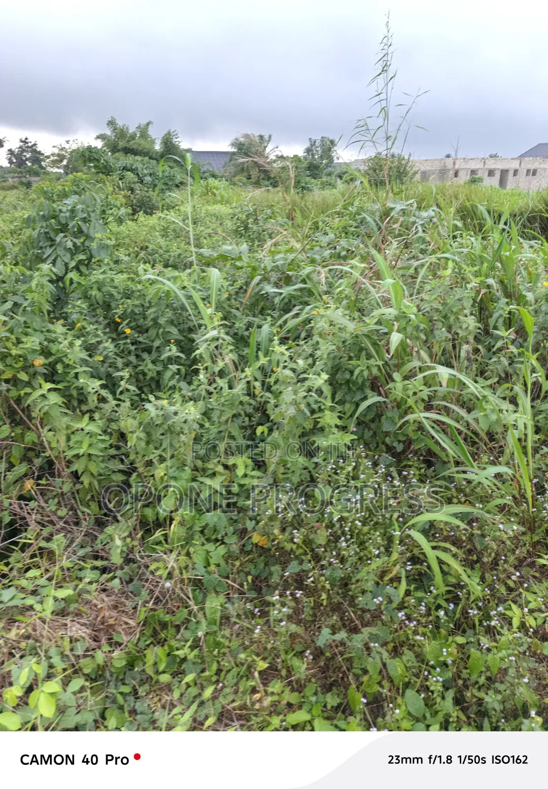 House Building