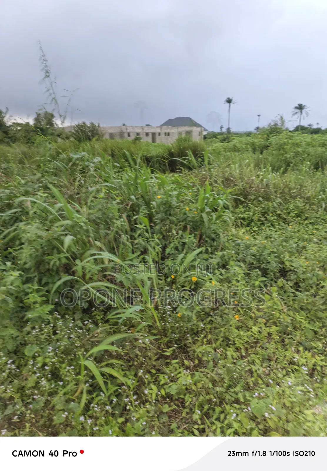 House Building