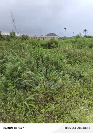 House Building