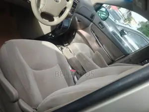 Toyota Sienna 2006 Beige