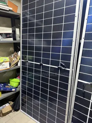 610w Longi Bifacial Solar Panel