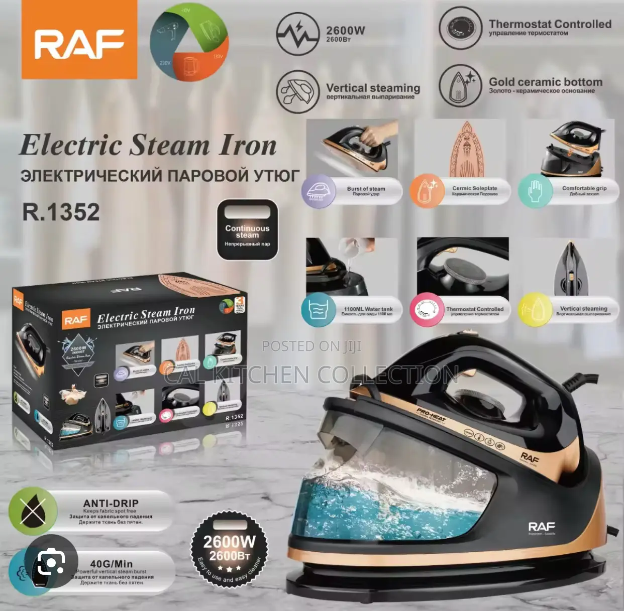 Raf Industrial Steam Generator Iron