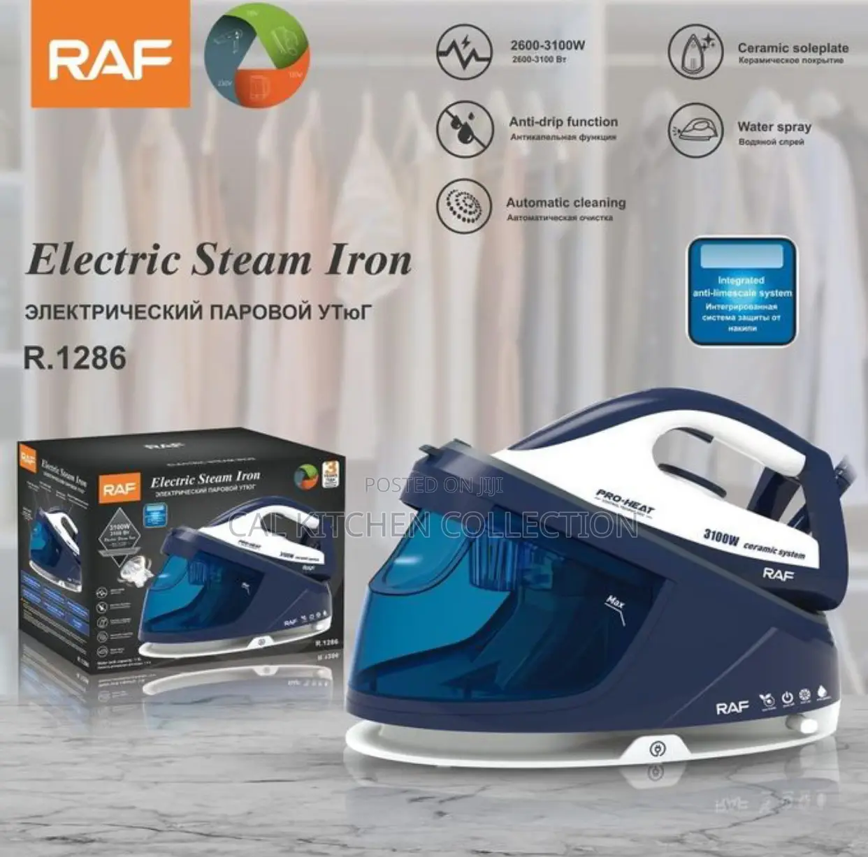 Raf Industrial Steam Generator Iron