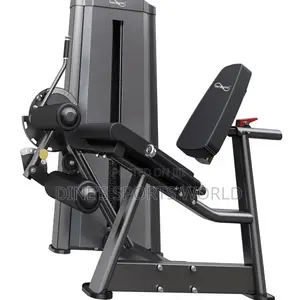Infinite High Quality Leg Curl Leg Extension