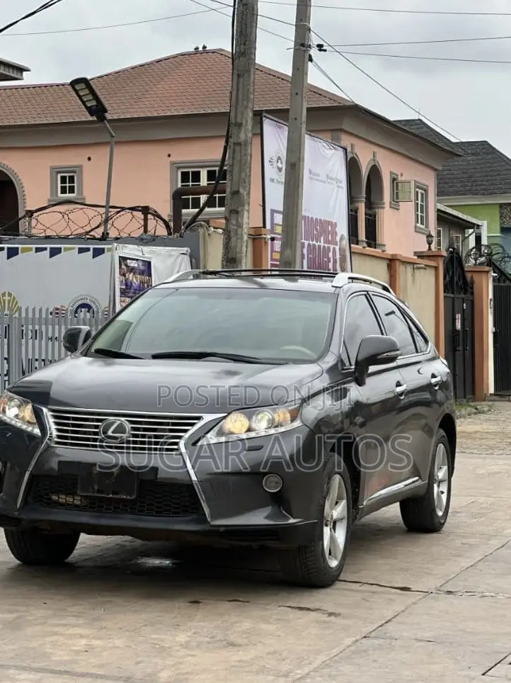 Lexus RX 350 2010 Gray