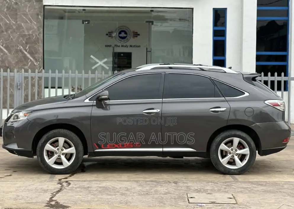 Lexus RX 350 2010 Gray