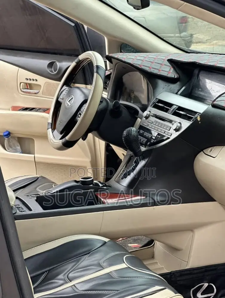 Lexus RX 350 2010 Gray