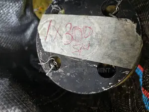 2”X300 Slip On Flange