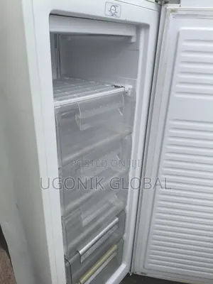 Low Energy Consumption Standing Freezer