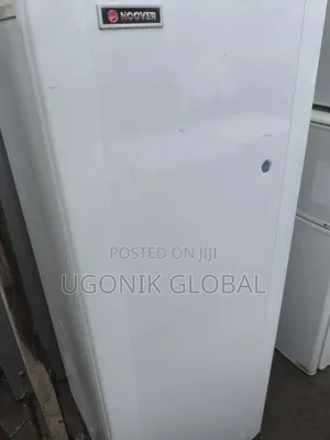 Low Energy Consumption Standing Freezer