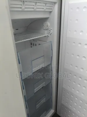 Perfectly Working Standing Freezer