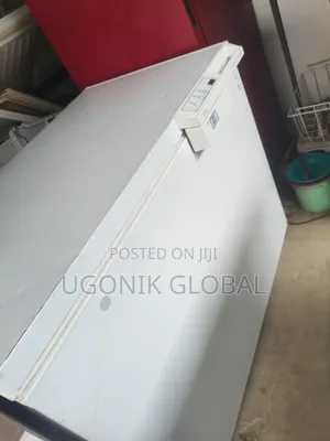 Deep Freezer for Frozen Foods With Low Energy Consumption