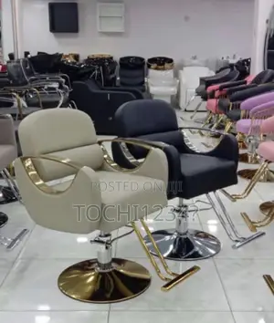 Luxury Salon Chair