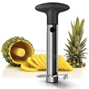 Pineapple Corer-Slicer