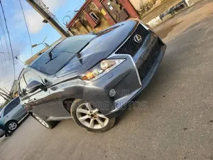 Lexus RX 350 2010 Gray