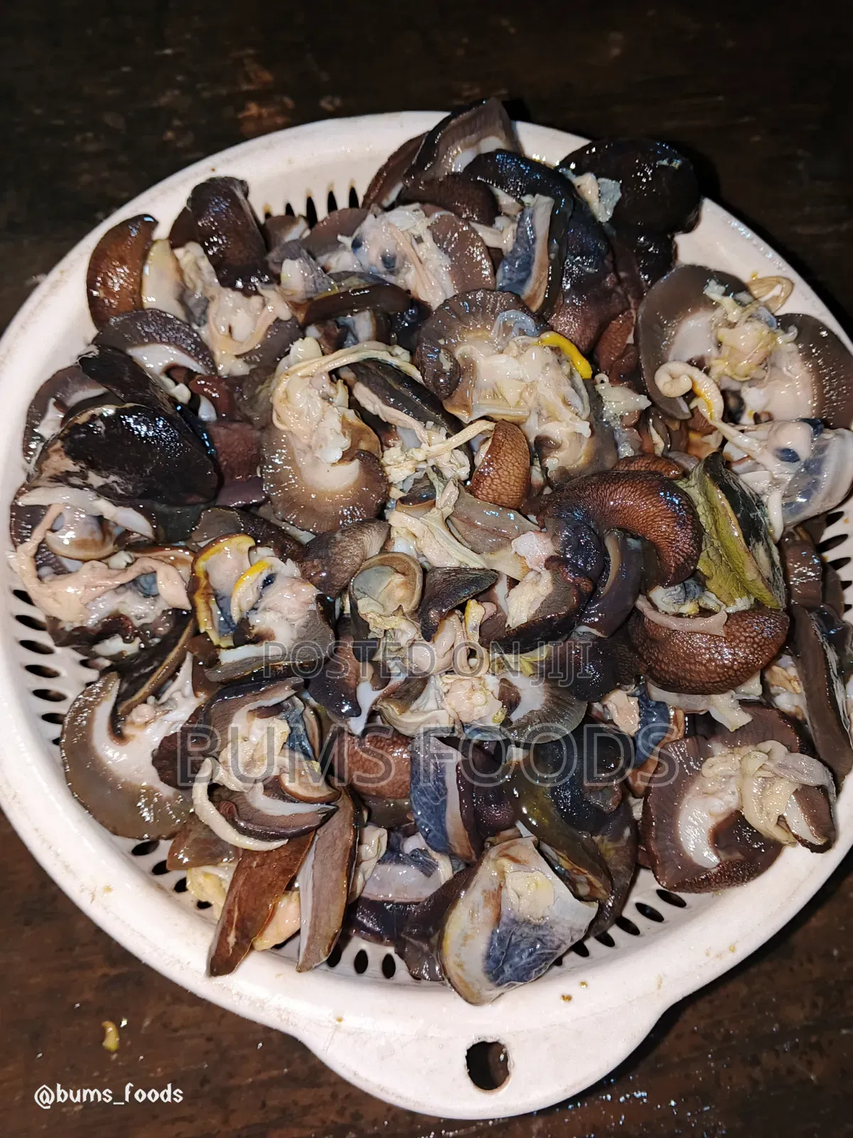 100pcs Small Snail