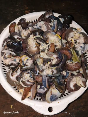 100pcs Small Snail