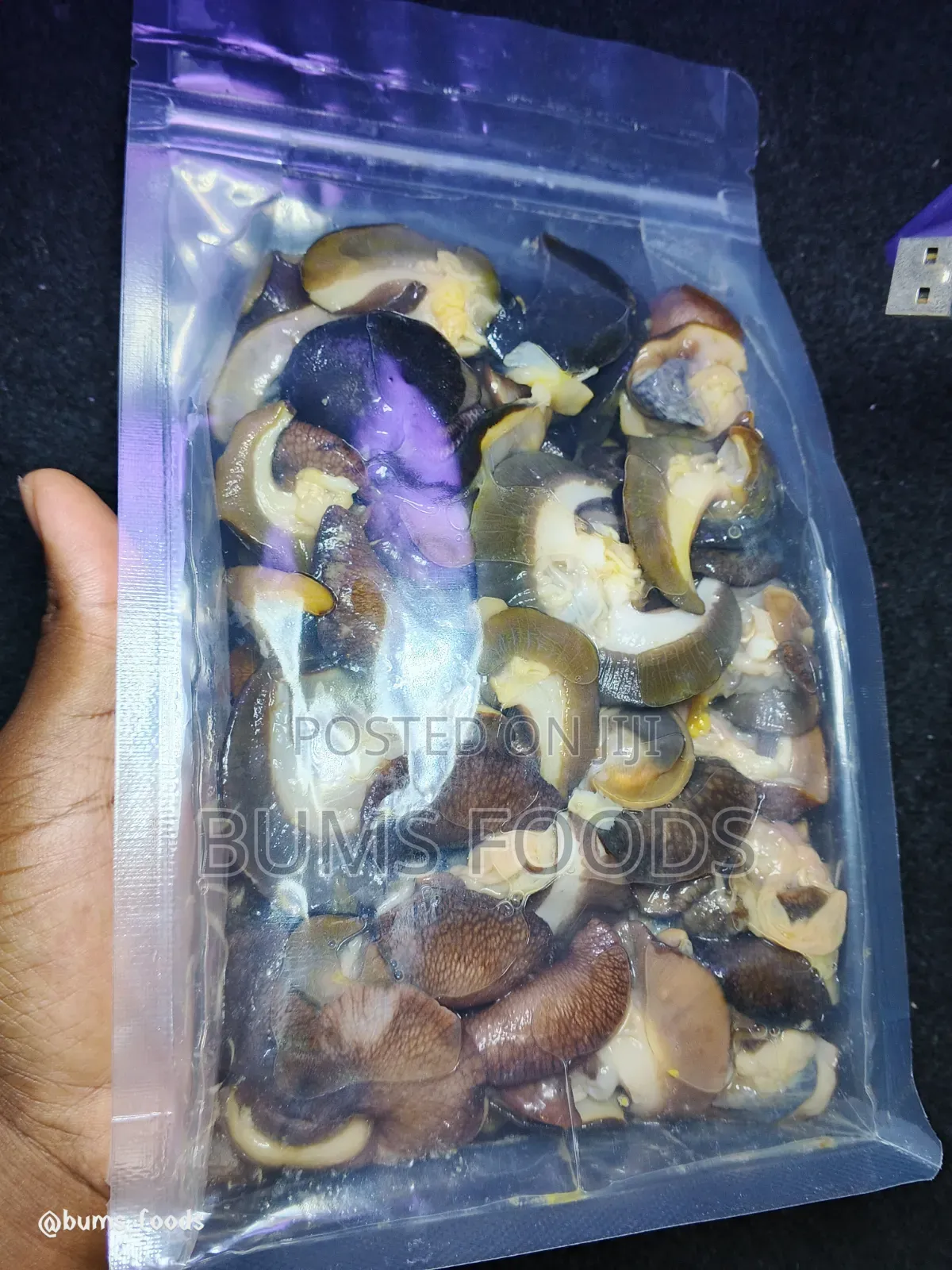 100pcs Small Snail