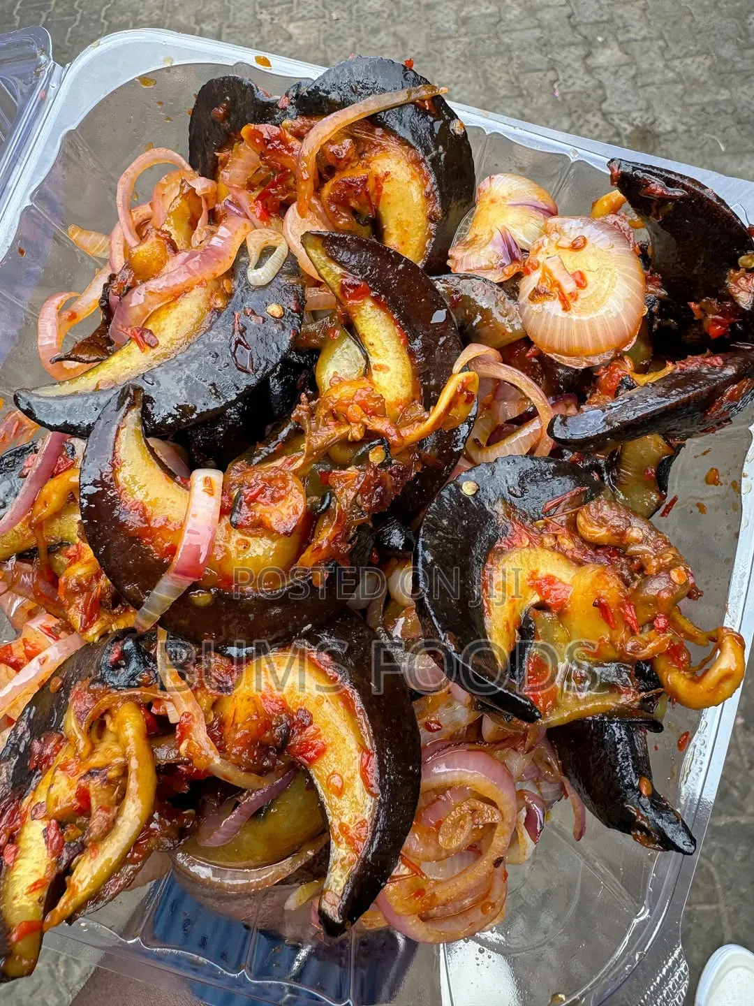 100pcs Small Snail