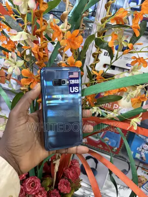 Samsung Galaxy S10e 128 GB Blue