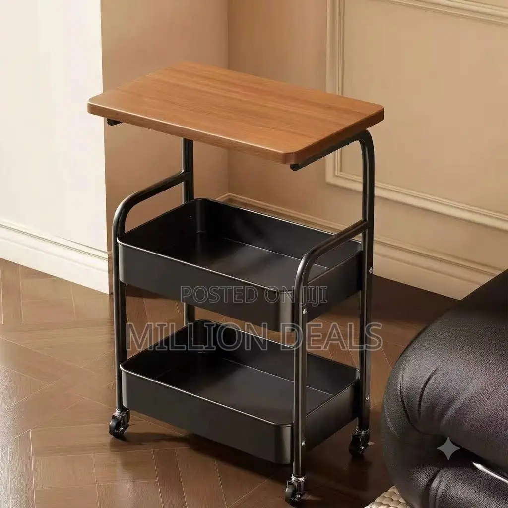 Unique Fancy Storage Oraganizer