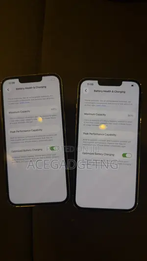 Apple iPhone 13 Pro 256 GB Silver