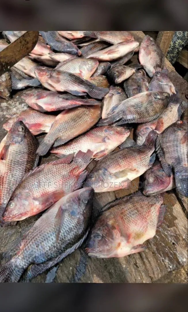 Crackers Fish