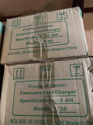30ah Famicare Battery Charger