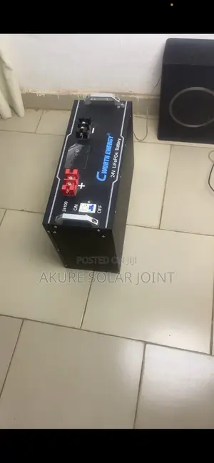 Cworth 2.5kwh Lithium Battery. 24volt