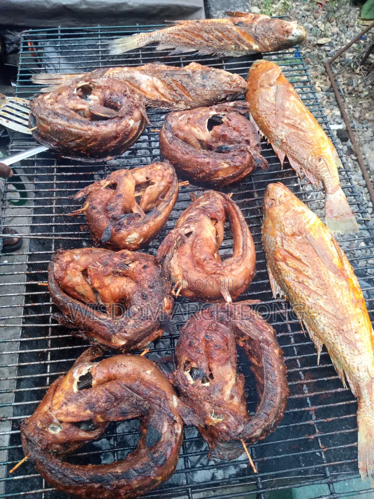 Grill Barbecue Fish