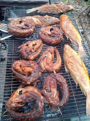 Grill Barbecue Fish