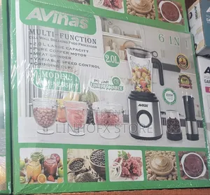 Avinas Multifunction Cell Wall Breaking Food Processor