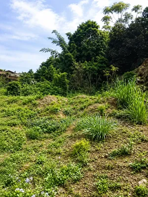 Prime 8.5 Plots Of Land For Sale In Sanyo, Ibadan