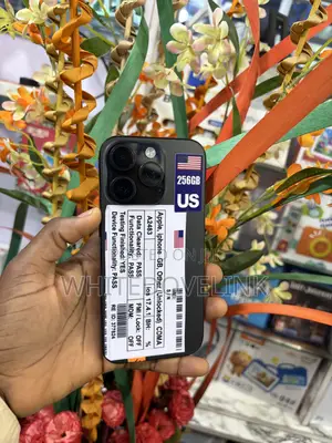 Apple iPhone 16 Pro 256 GB Black