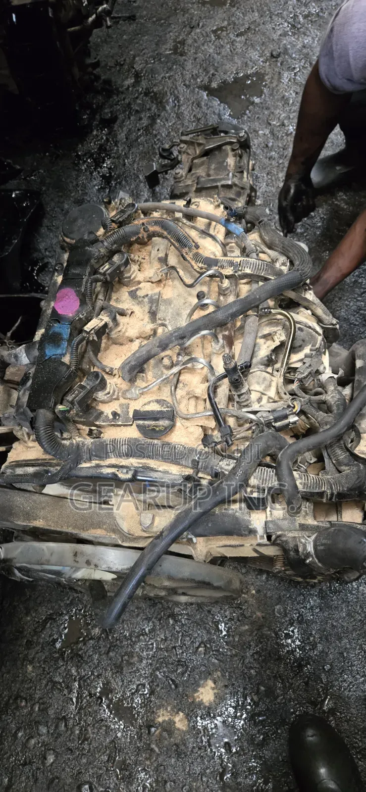 Engine Ford Transit (Diesel) 2011/2020