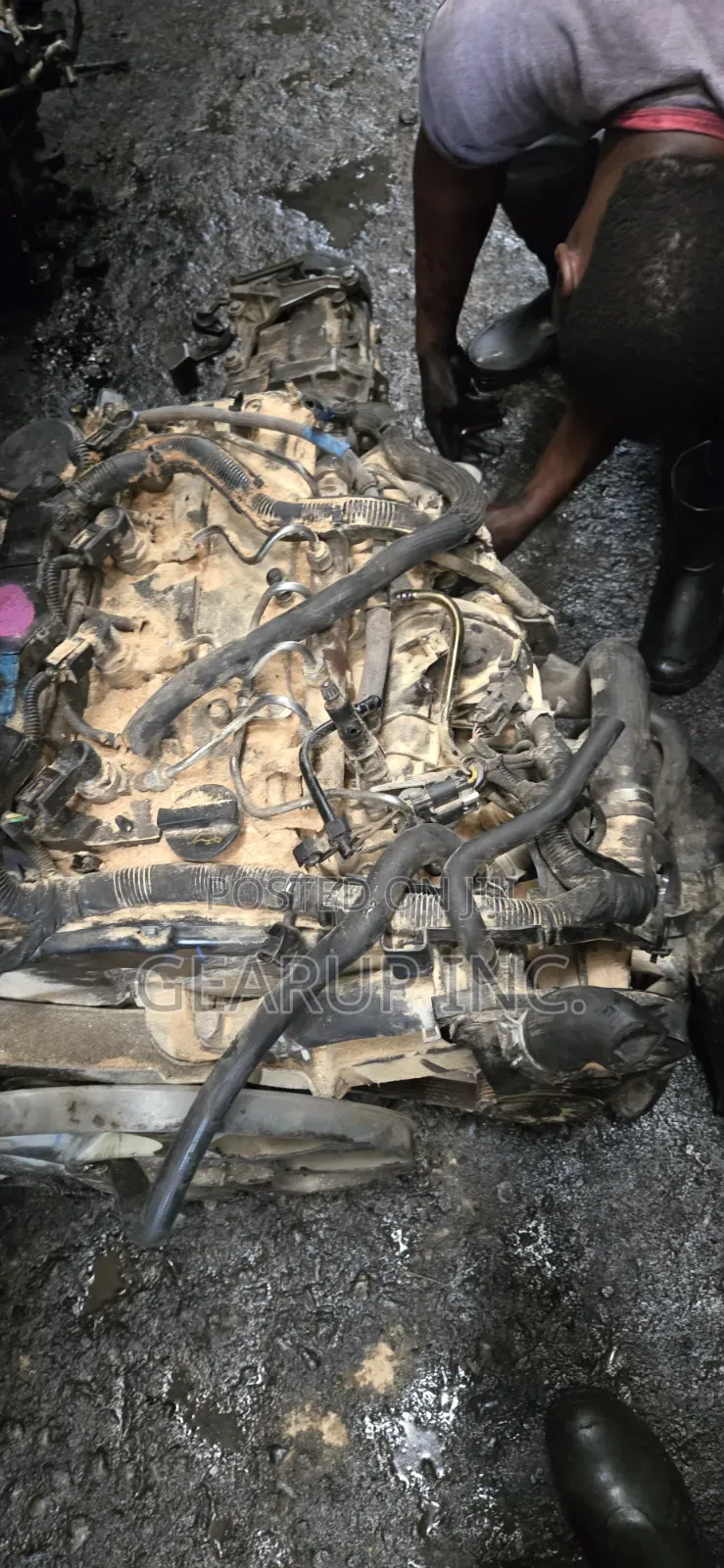 Engine Ford Transit (Diesel) 2011/2020