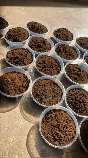 Cassie Seed Powder ('Ya'yan Tafasa)
