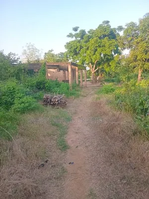 Ido Commercial Land